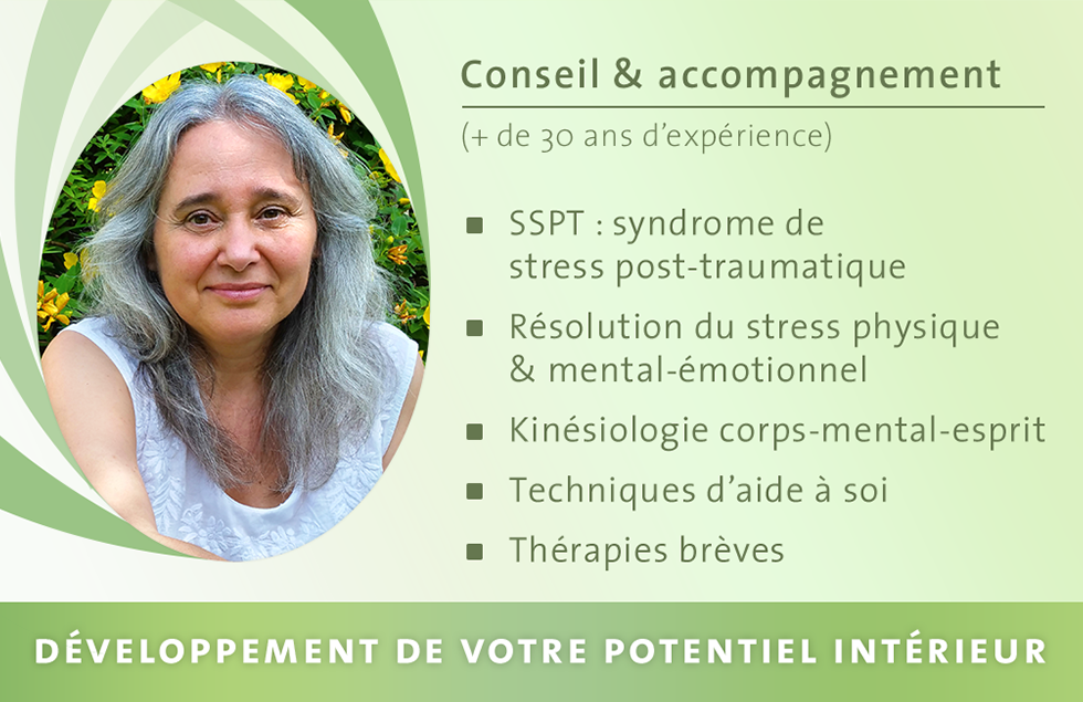 Conseil & accompagnement