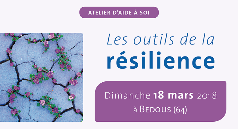 Les outils de la résilience - 18 mars 2018